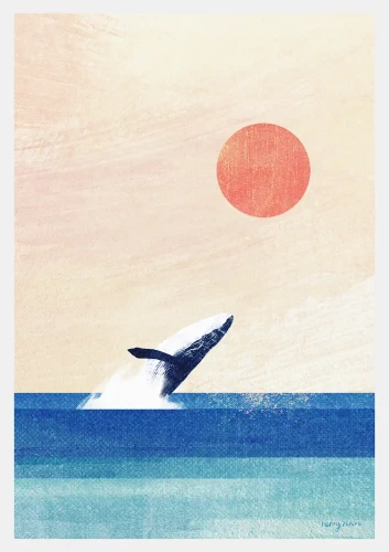 Wieloryb - zachód słońca nad oceanem - plakat