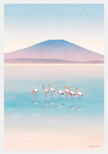Flamingi - odbicie w jeziorze - plakat