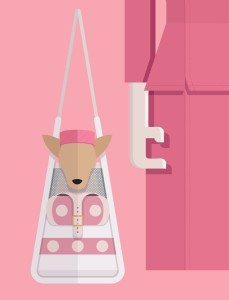 Legally Blonde - plakat