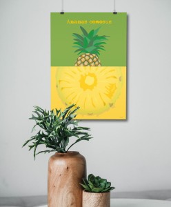 Ananas - plakat