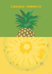 Ananas - plakat