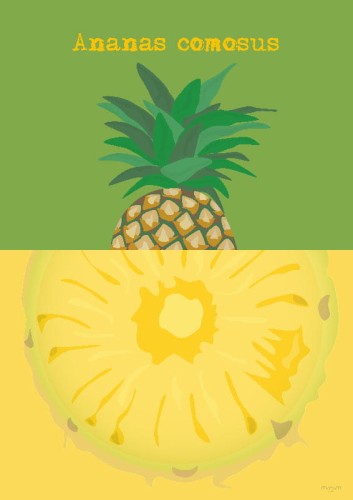 Ananas - plakat