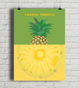 Ananas - plakat
