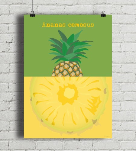 Ananas - plakat