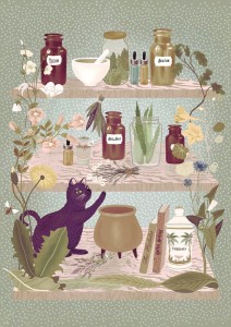 Herbal Healers Shelf - plakat