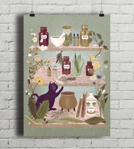 Herbal Healers Shelf - plakat